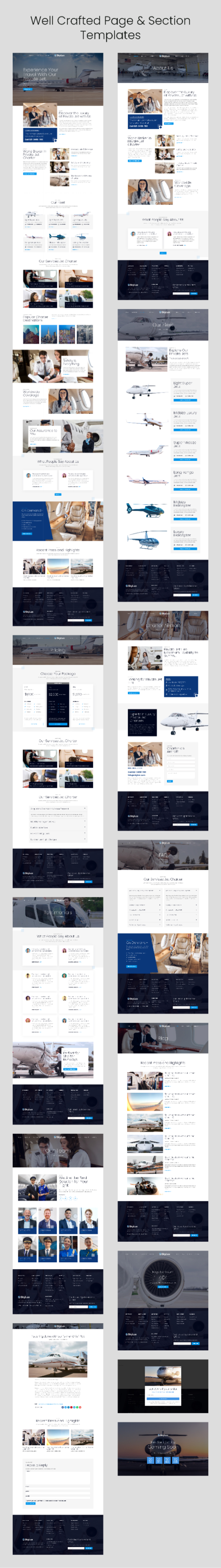 Airplane charter company Elementor template